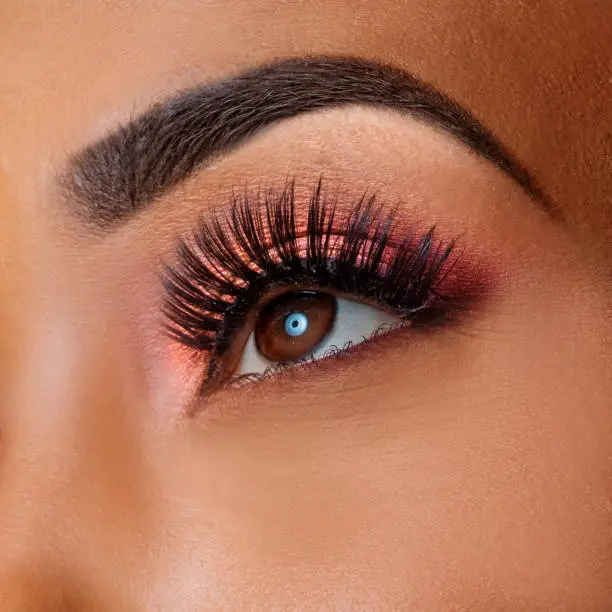 volume lash